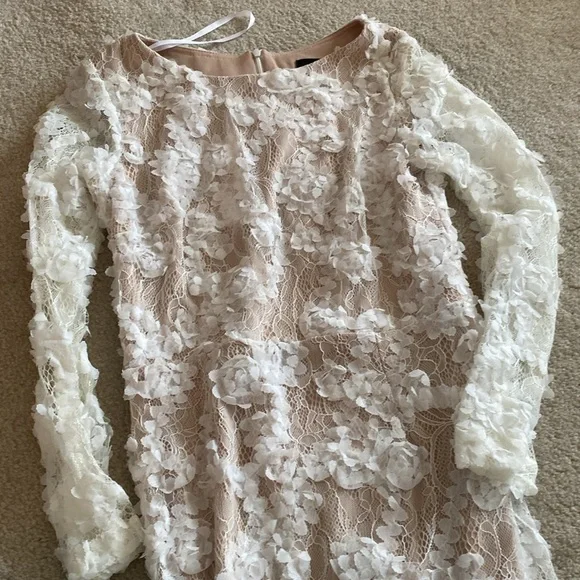 XSCAPE size 4 stunning lace dress tan lining - Picture 11 of 13